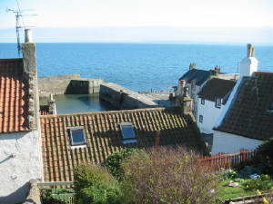 cellardyke.viewoverrooftopapril07067medium.jpg